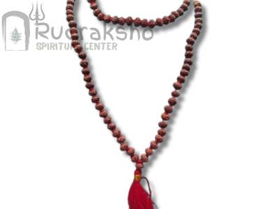 7 Mukhi Mala